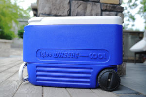 Blue cooler, hllf