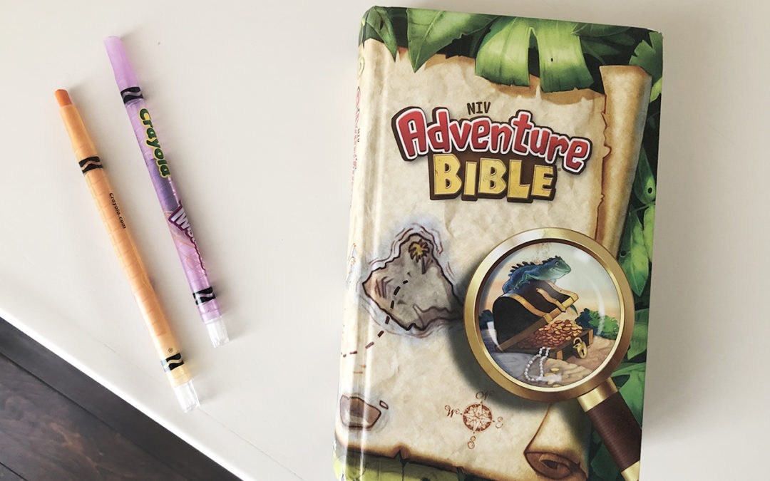 Adventure Bible, NIV