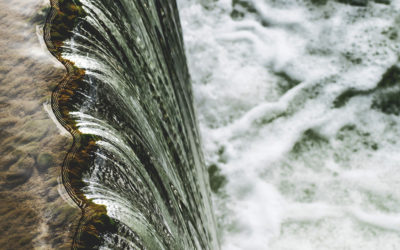 Free Flowing Grace