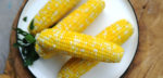 Corn on the cob