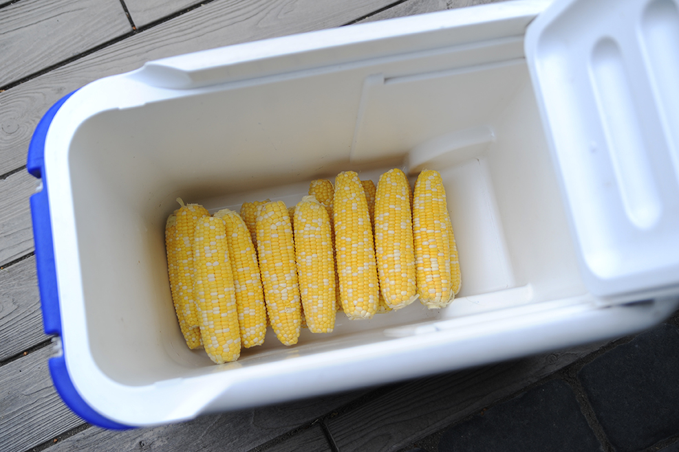 Cooler Corn Hold Loosely, Live Freely