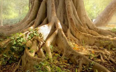 May Your Labor Take Root