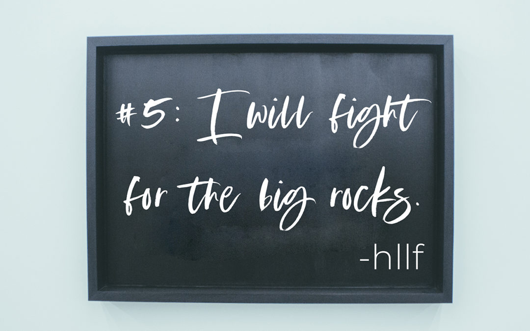 I Will Fight For The Big Rocks