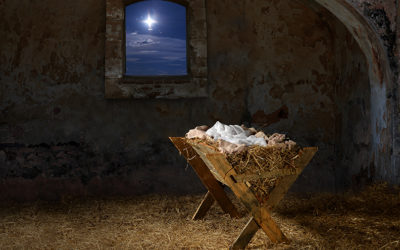 Steady To Slow And Savor Our King