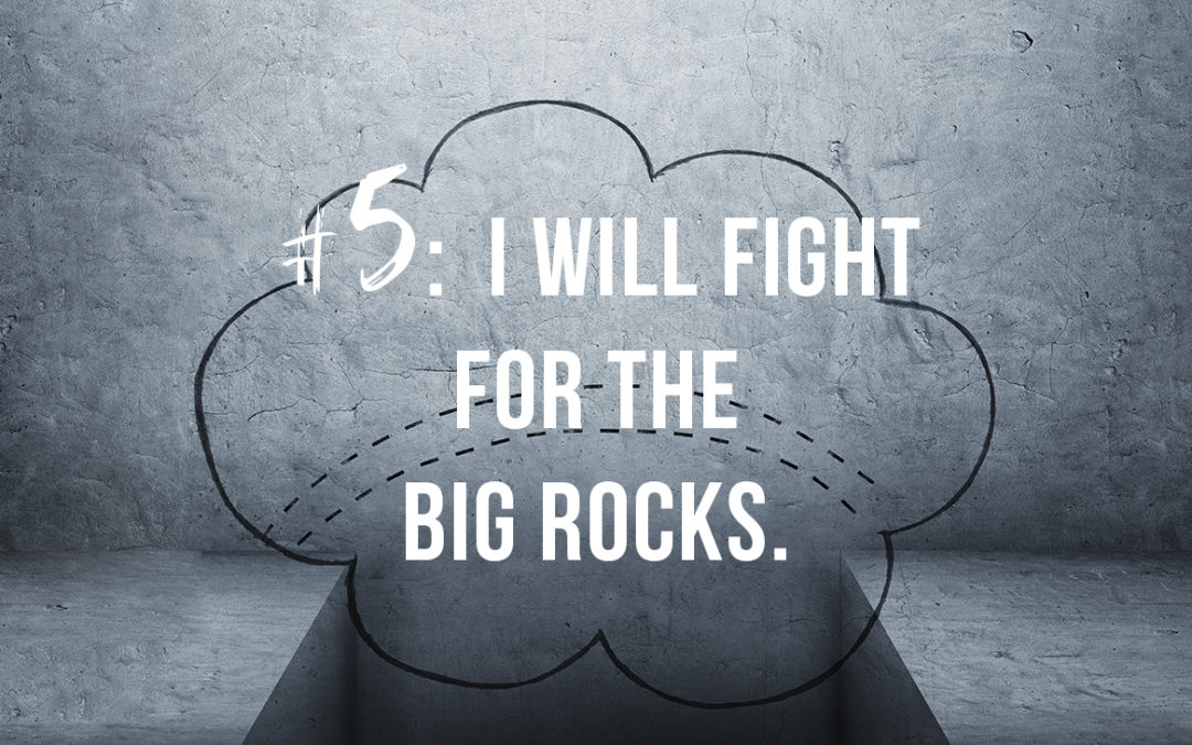 I Will Fight For The Big Rocks